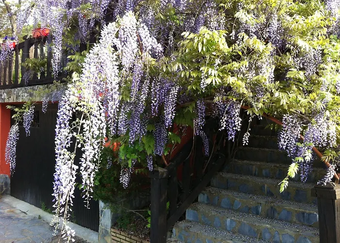 Izarre بيت ضيافة 3*